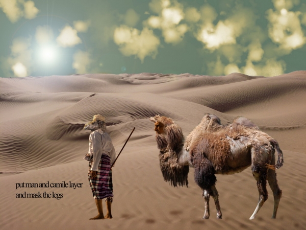 Creation of Parallel Camel Universe: Step 11